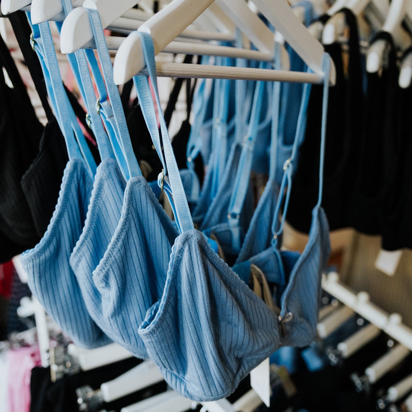 Becky Bra - Bluebird